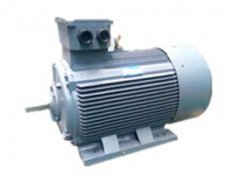 貴州雙速西YE3電機(jī)瑪電機(jī)型號